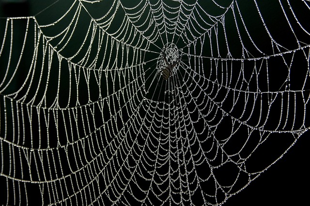 web