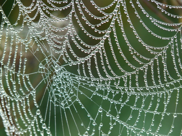 web