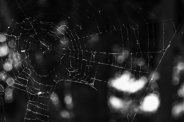 web