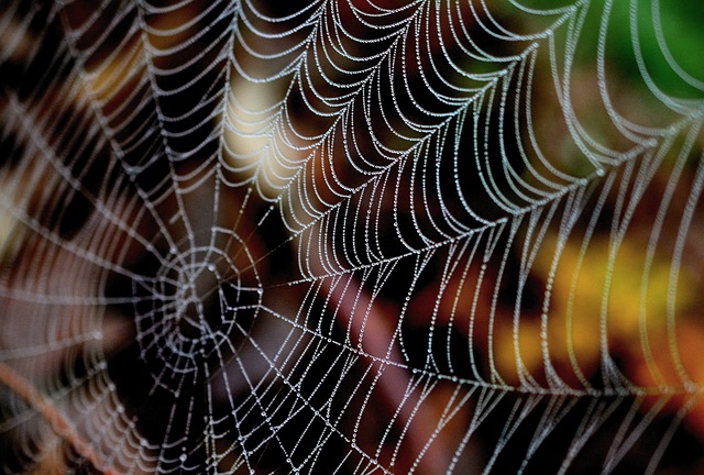 web