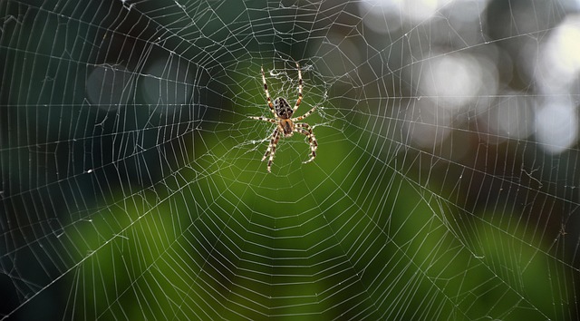 web