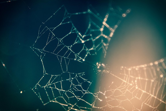 web