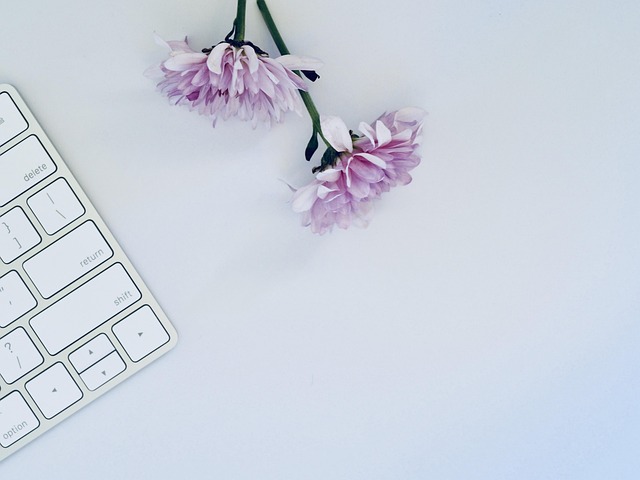 blogging