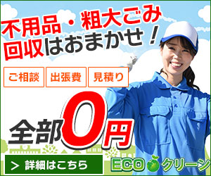 【ECOクリーン】